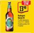 PIVO RADEGAST R�ZN� 10 v akci