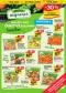 Albert hypermarket letk, 33.strana