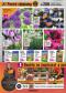 HORNBACH letk, 4.strana