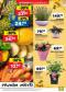Lidl letk, 11.strana