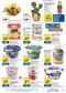 Tesco letk, 21.strana